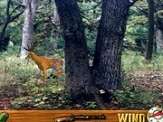 Deer Hunting USA V4.3