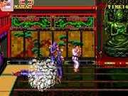 Double Dragon 3 - The Rosetta Stone (US)