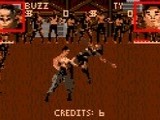 Pit Fighter