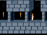 Prince of Persia - MS-DOS