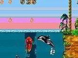 Shamu