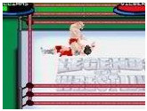 Legends of Wrestling II | RetroGames.Fun