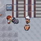 Pokemon Frosty