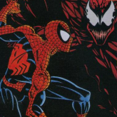 The Amazing Spider-Man 2