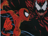 The Amazing Spider-Man 2 | RetroGames.Fun