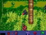 Ultimate Paint Ball