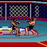 Ultimate Fighting Championship