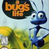 A Bug
