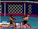 Ultimate Fighting Championship | RetroGames.Fun