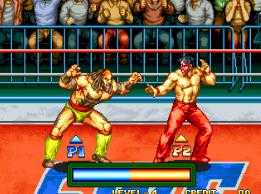 3 Count Bout / Fire Suplex