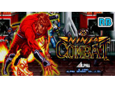 Ninja Combat | RetroGames.Fun