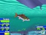 Bassmasters 2000