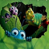 A Bug