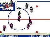 Pro Sport Hockey