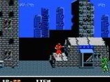 Ninja Crusaders