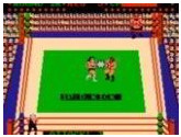 Tag Team Wrestling | RetroGames.Fun