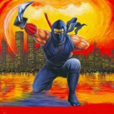 Ninja Gaiden Episode III - The Ancient Ship of Doom