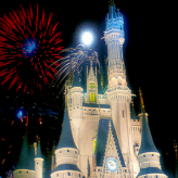 Adventures in the Magic Kingdom