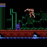 Batman - The Video Game