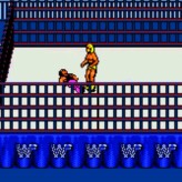 WWF Wrestlemania: Steel Cage Challenge