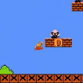 Project Super Mario Bros.