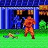 Street Fighter 2 Pro