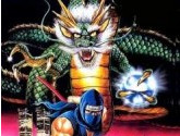 Ninja Gaiden II - The Dark Sword of Chaos | RetroGames.Fun
