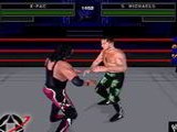 WWF Attitude