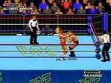 WWF Super Wrestlemania