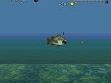 Bass Masters Classics