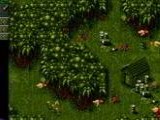 Cannon Fodder