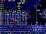 Ninja Gaiden