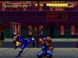 Double Dragon V: The Shadow Falls