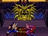 Double Dragon V - The Shadow Falls