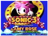 Sonic 3 and Amy Rose | RetroGames.Fun