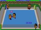 Pro Wrestling