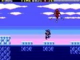 Ninja Gaiden