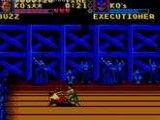 Pit Fighter