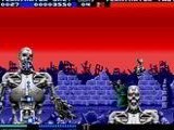 Terminator 2 - The Arcade Game