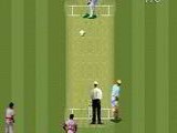 Super International Cricket