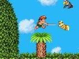 Super Adventure Island II