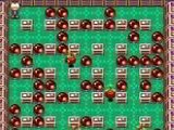 Super Bomberman 5