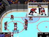 NHLPA Hockey