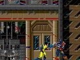 Wolverine Adamantium Rage