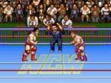 Natsume Championship Wrestling