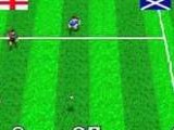 Virtual Soccer