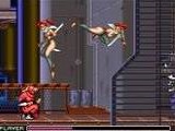 Ninja Warriors