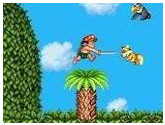 Super Adventure Island II - Nintendo Super NES