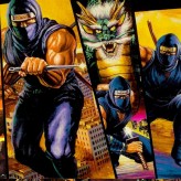 Ninja Gaiden Trilogy