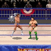 WWF Wrestlemania: The Arcade Game